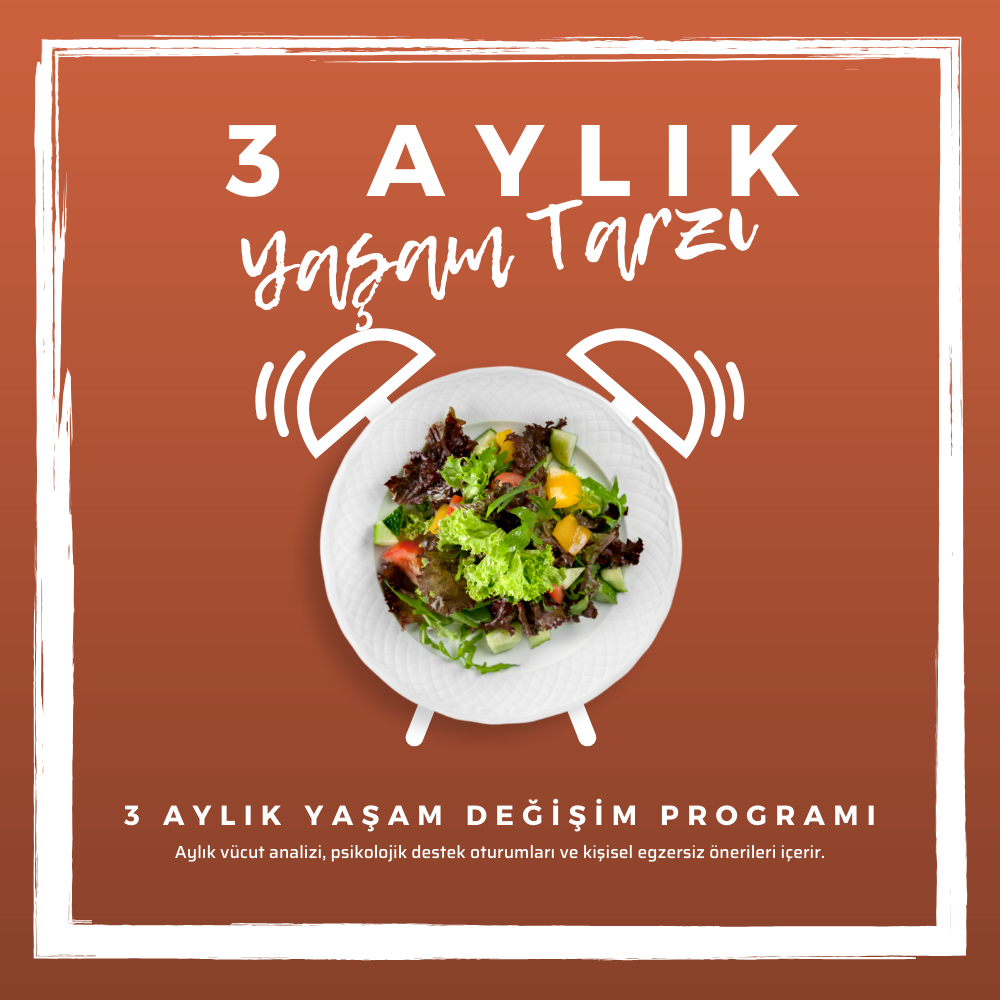 3 Aylık Program