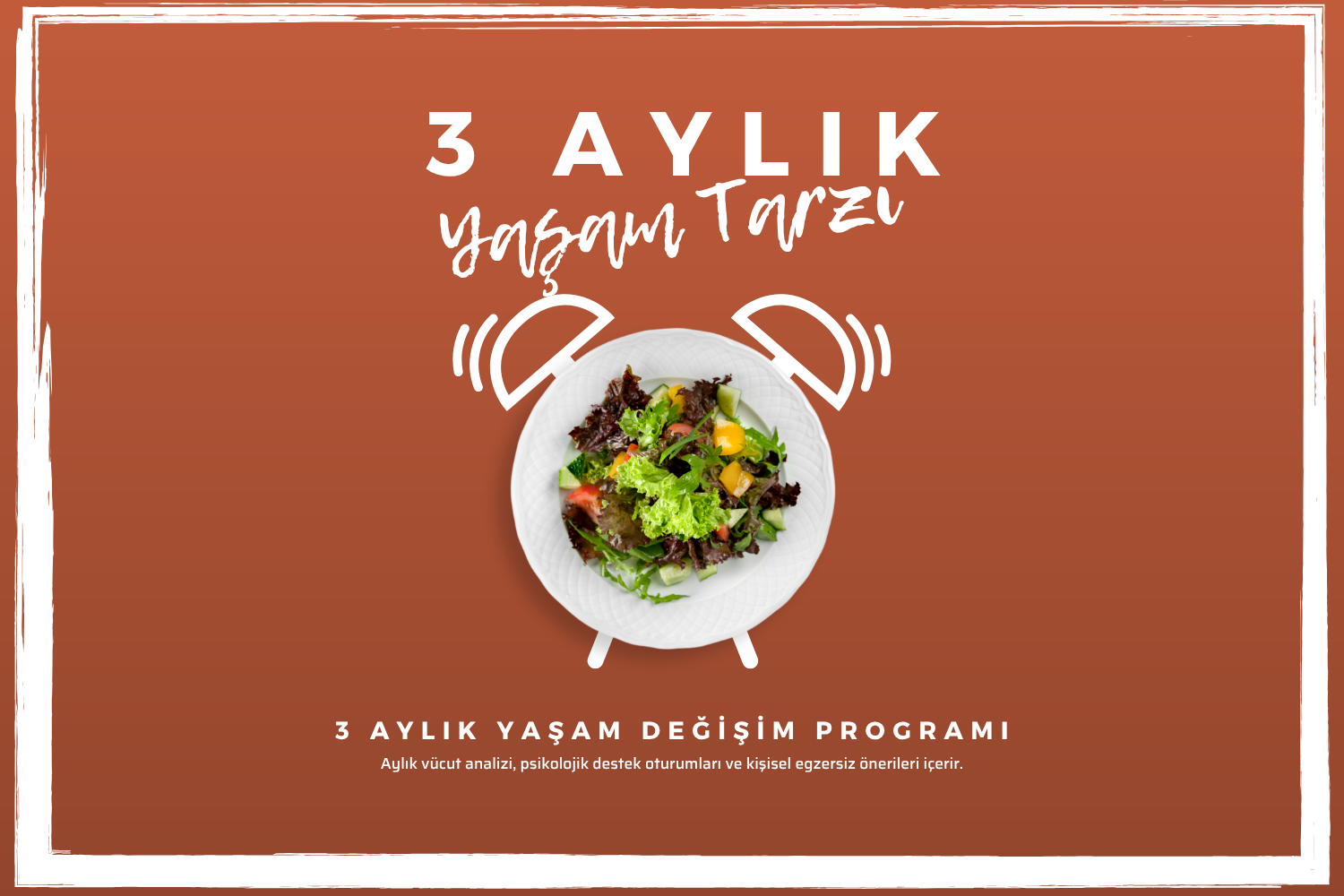 3 Aylık Program
