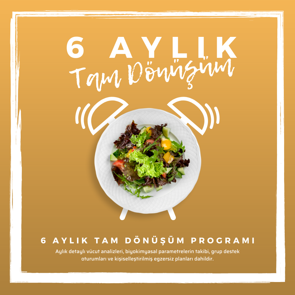 6 Aylık Program