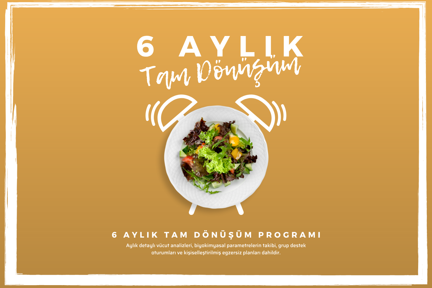6 Aylık Program