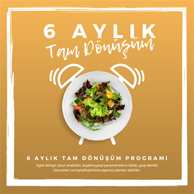 6 Aylık Tam Dönüşüm Programı