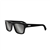 Dior Dior3D S2I DM 40142I 01C