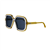Dior DiorHighlight S1I CD 40123I 81V
