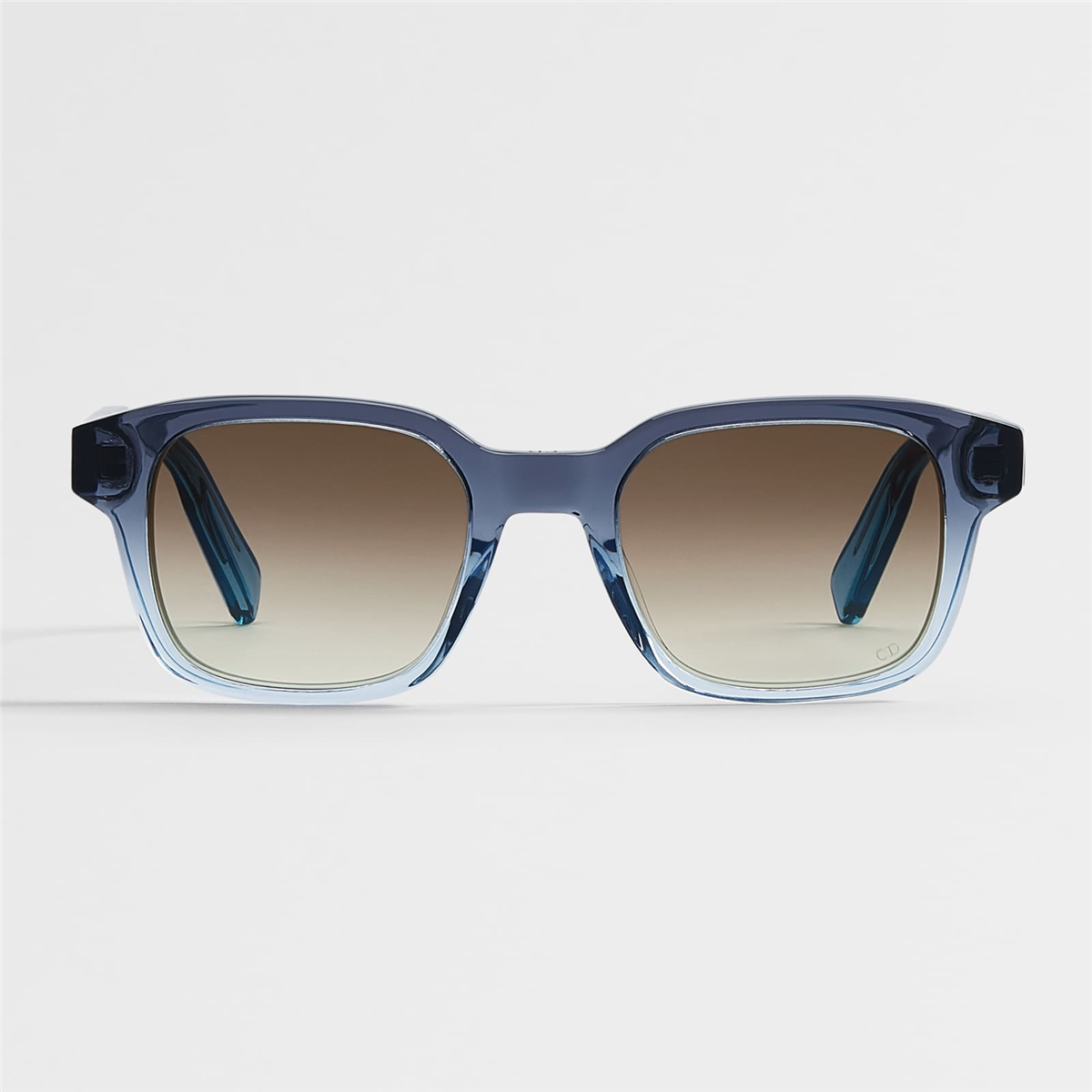 Dior Ribbon S1I DM 40190I 92F Erkek Güneş Gözlüğü