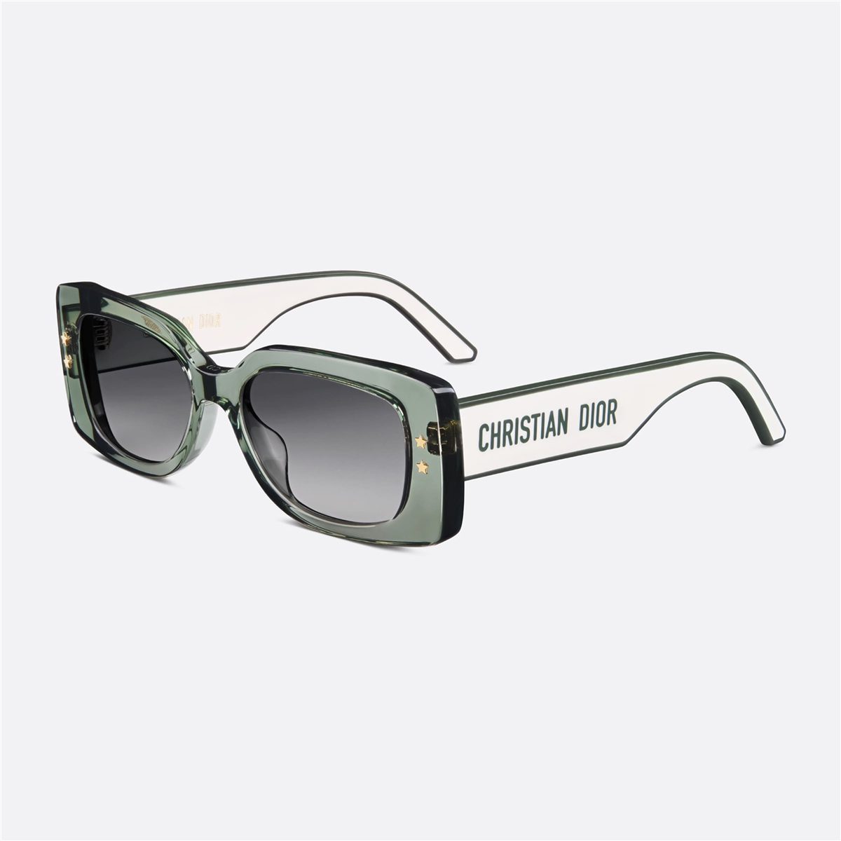 Dior DiorPacific S1U CD 40098U 96B