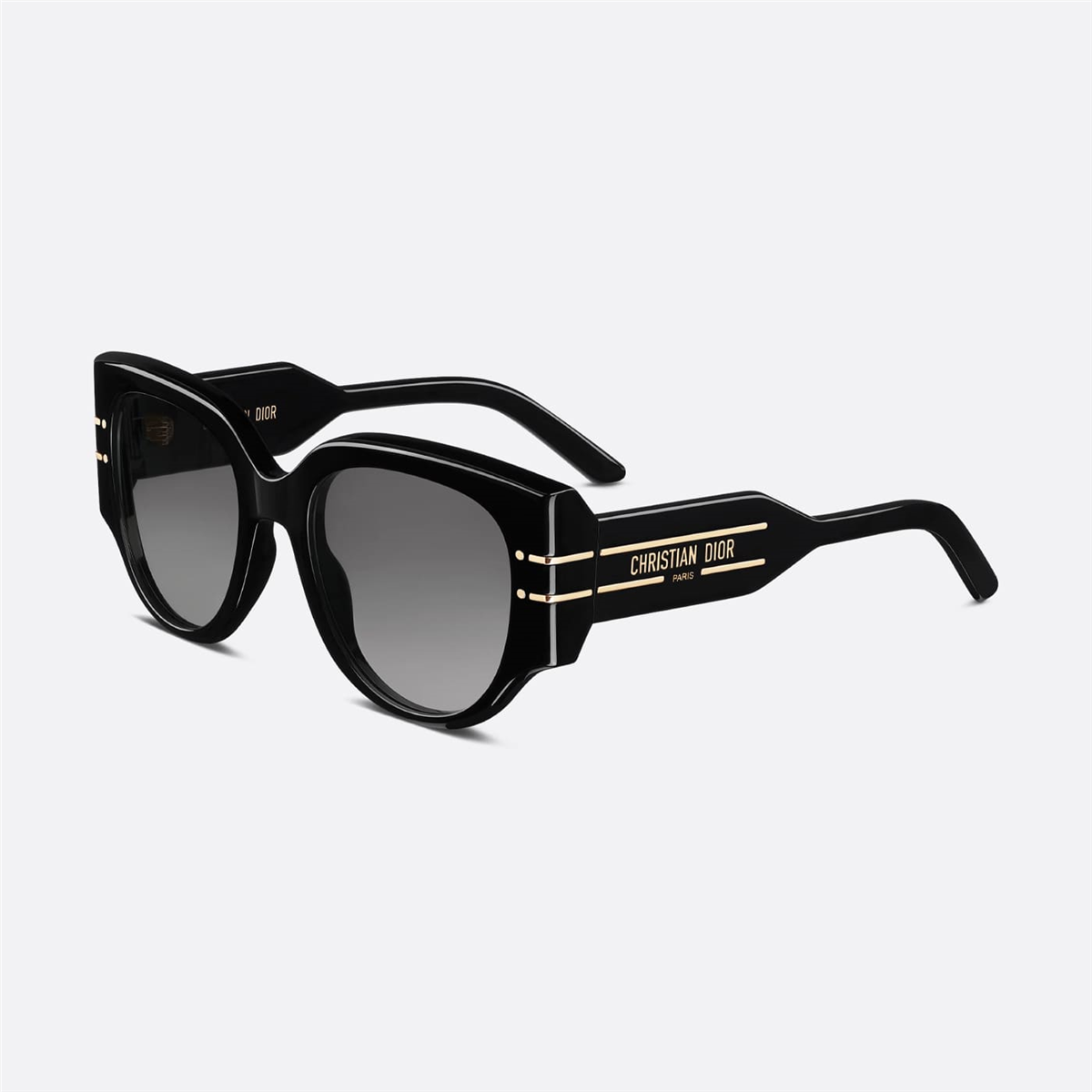 Dior Diorsignature R2I CD 40187I 01B