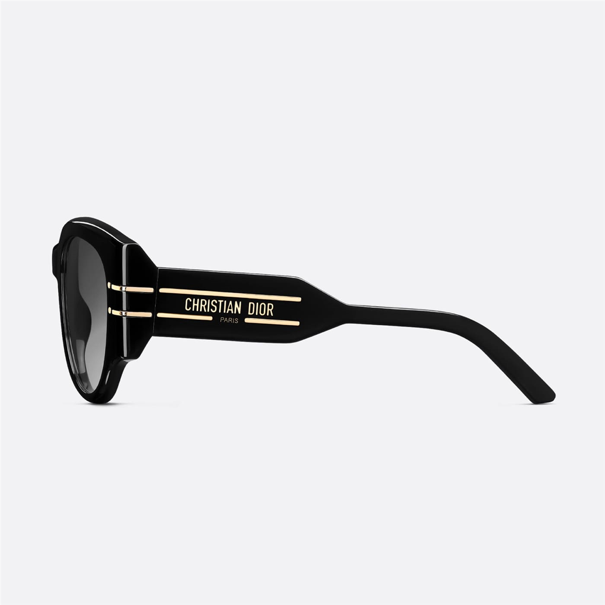 Dior Diorsignature R2I CD 40187I 01B