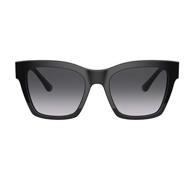 Dolce & Gabbana DG 4384 501/8G 53