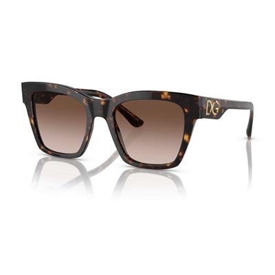 Dolce & Gabbana DG 4384 502/13 53