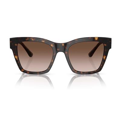 Dolce & Gabbana DG 4384 502/13 53