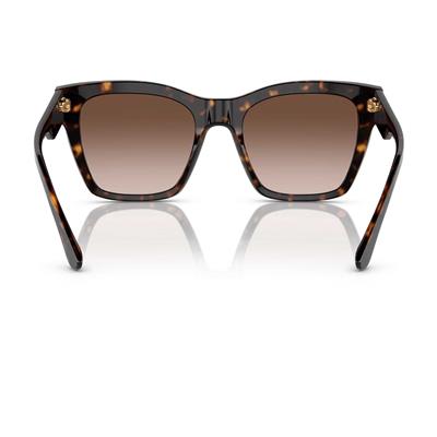 Dolce & Gabbana DG 4384 502/13 53