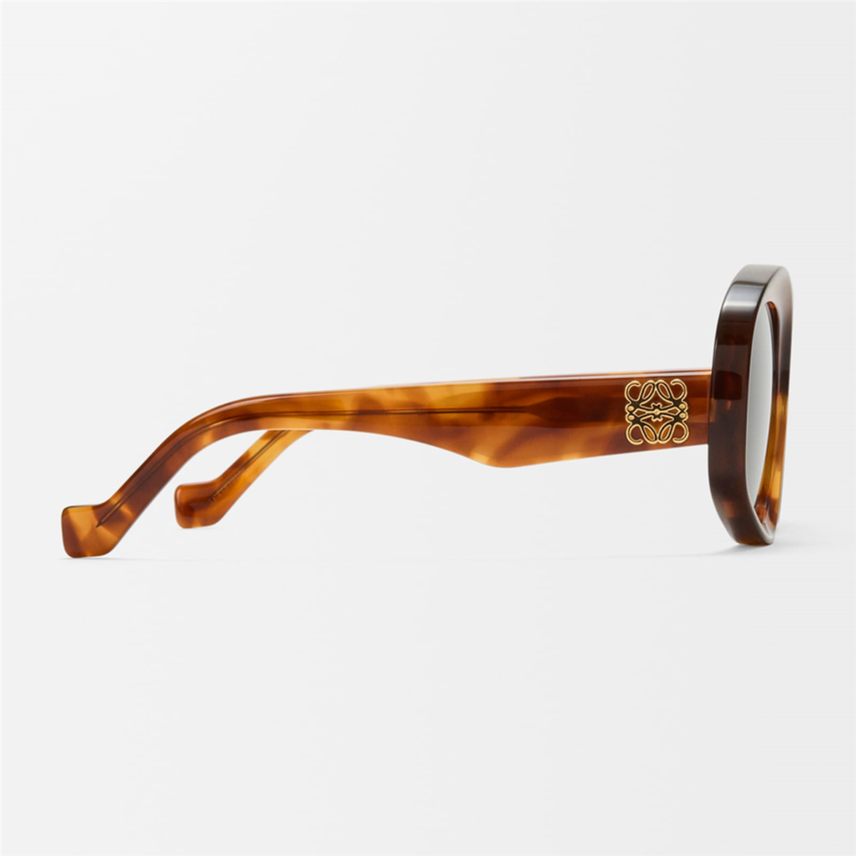 Loewe Beveled Pentagon LW 40181I 52E Kadın Güneş Gözlüğü