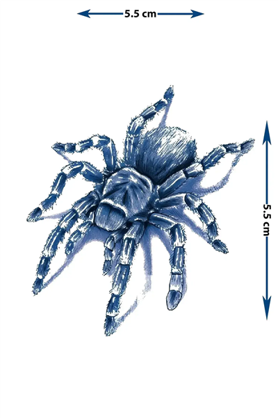 3D Gerçekçi Örümcek (Tarantula) Yarı Kalıcı Dövme / 1 Ay Kalıcı - Gölgeli ve Boyutlu Geçici Sırt Dövmesi