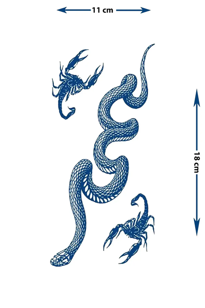Kıvrımlı Yılan ve Akrep Figürlü Sanatsal Tattoo - Yarı Kalıcı / 1 Ay Kalıcı