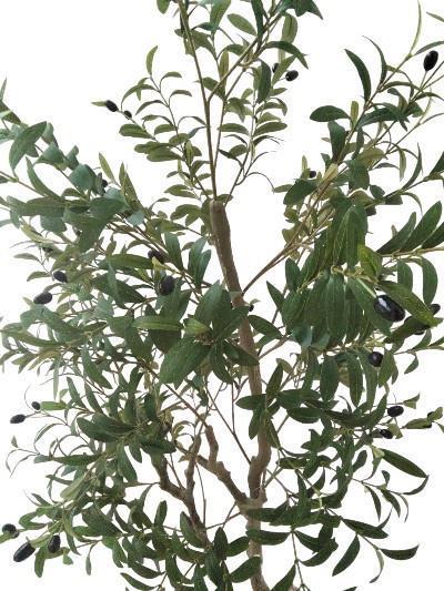 1 Adet 185cm Yapay Zeytin Ağacı