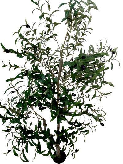 1 Adet 185cm Yapay Zeytin Ağacı