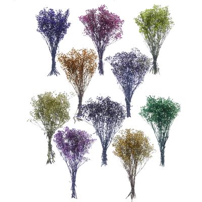 1 Bağ Şoklanmış Doğal Cipso Pıtırcık