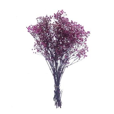 1 Bağ Şoklanmış Doğal Cipso Pıtırcık