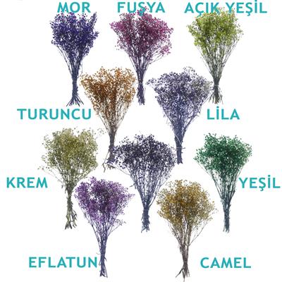 1 Bağ Şoklanmış Doğal Cipso Pıtırcık