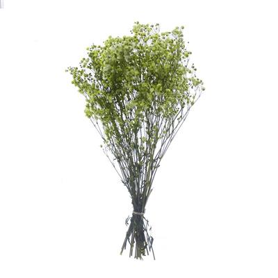 1 Bağ Şoklanmış Doğal Cipso Pıtırcık