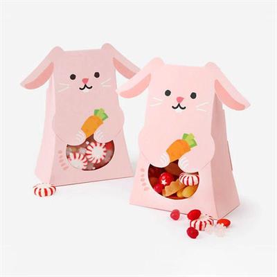 10 Adet 10,5x16cm Karton Kutu Hayvanlar Alemi Tavşan