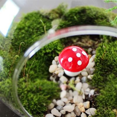 10 Adet 3cm Strafor Mantar Çubuklu