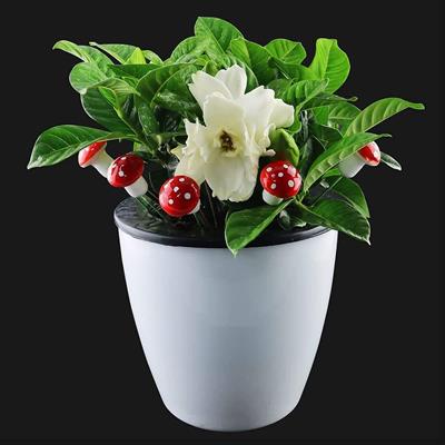 10 Adet 3cm Strafor Mantar Çubuklu