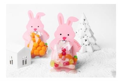 10 Adet 7,3x13,5cm Hayvanlar Alemi Karton Süs ve Jelatin Tavşan