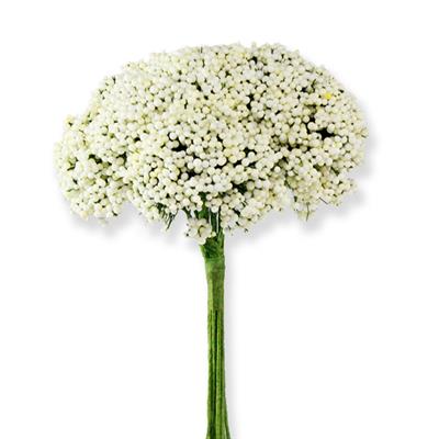 10 Demet (120 Adet) Dökülen Pıtırcık Cipso Çiçek