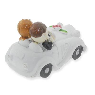 12 Adet Arabada Gelin Damat Biblo