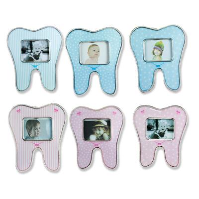 12 Adet Diş Çerçeve Karışık Model