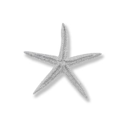 24 Adet Deniz Yıldızı Biblo