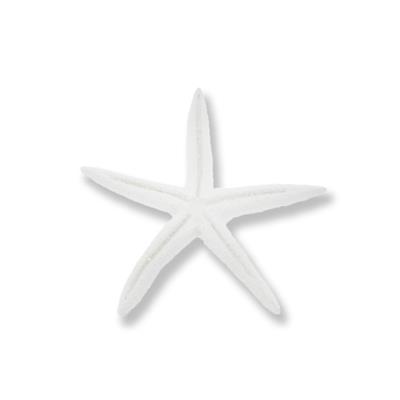 24 Adet Deniz Yıldızı Biblo