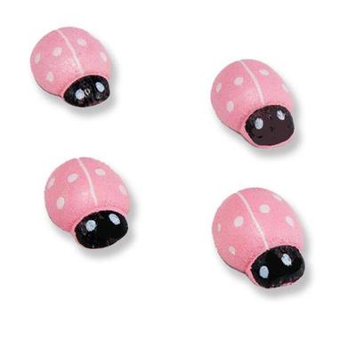 24 Adet Minik Uğur Böceği