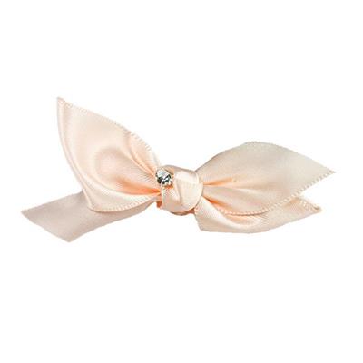 25 Adet Taşlı Saten Fiyonk