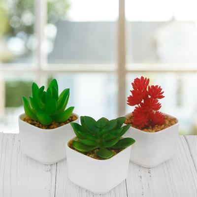 3 Adet 5x4cm Yapay Sukulent Çiçek Saksıda