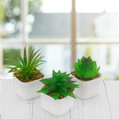 3 Adet 5x4cm Yapay Sukulent Çiçek Saksıda