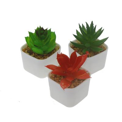 3 Adet 5x4cm Yapay Sukulent Çiçek Saksıda
