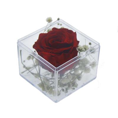 5x5cm Kutu İçinde Uzun Ömürlü Solmayan Gerçek Kırmızı Gül