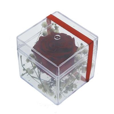 5x5cm Kutu İçinde Uzun Ömürlü Solmayan Gerçek Kırmızı Gül