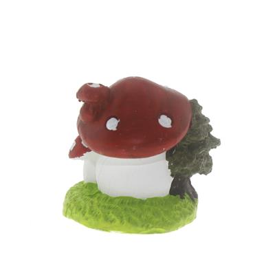 5x6cm Mantar Ev Biblo Terrarium