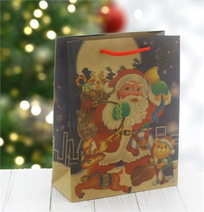 6 Adet 15x20cm Kraft Çanta Yılbaşı Noel Baba