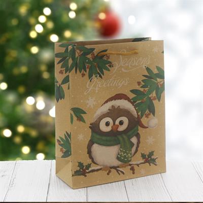 6 Adet 19x24cm Kraft Karton Çanta Baykuş