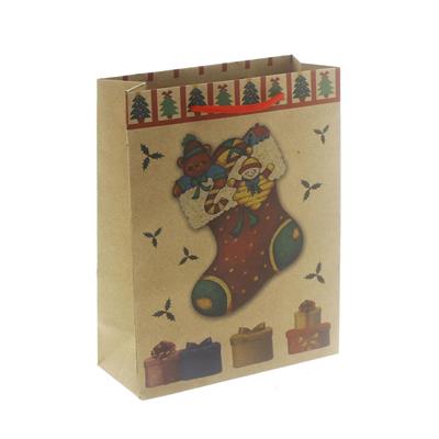 6 Adet 19x24cm Kraft Karton Çanta Çoraplı