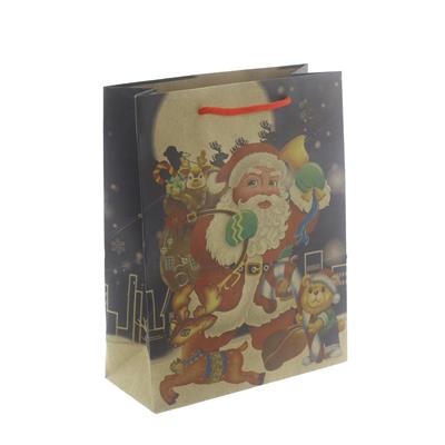 6 Adet 19x24cm Kraft Karton Çanta Noel Baba
