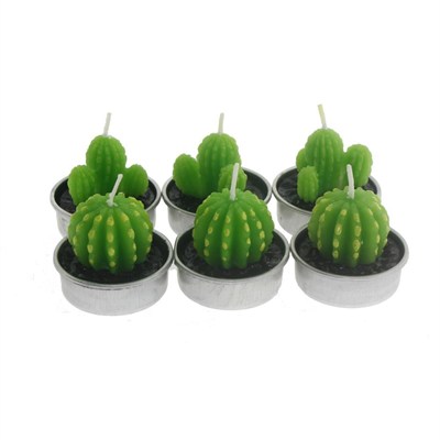 6 Adet Kaktüs Tealight Mum