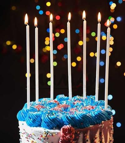 7 Adet 20cm Pasta Mumu İnce Mum