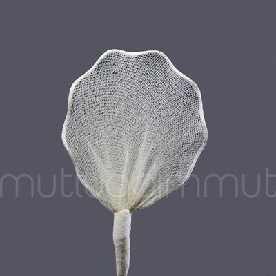 Badem Şekeri İçin Kıvrımlı Raket 72 Adet