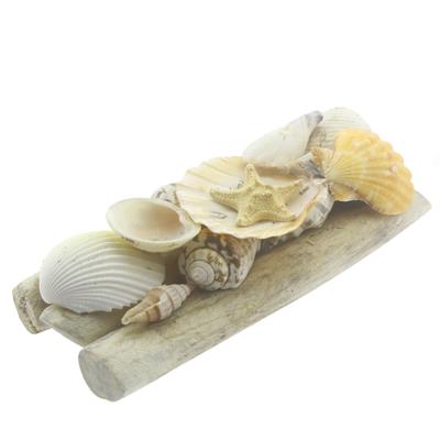 Karışık Deniz Kabukları Dekor Seti