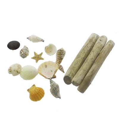 Karışık Deniz Kabukları Dekor Seti